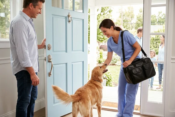 Veterinario a domicilio